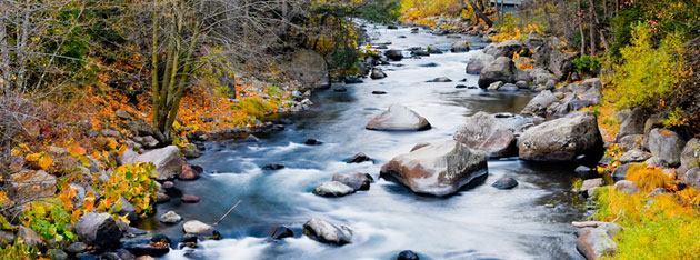 stream